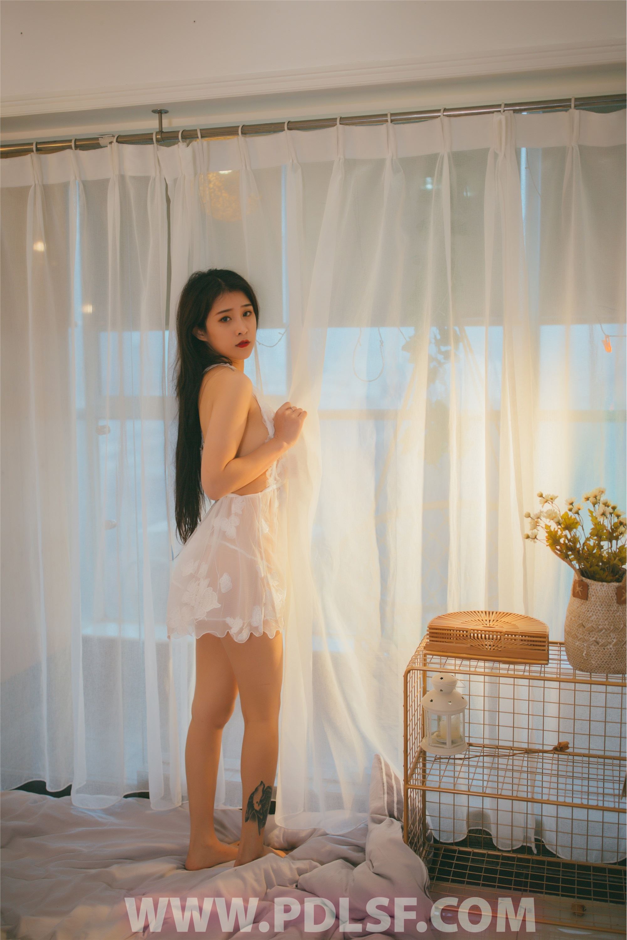 PDL潘多拉 2019.12.26 专辑No.258